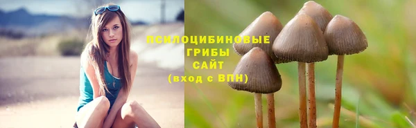 соль ск Алзамай