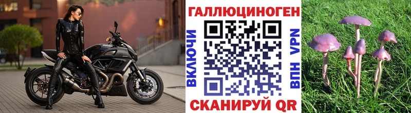 Галлюциногенные грибы GOLDEN TEACHER  ОМГ ОМГ рабочий сайт  Учалы  купить  